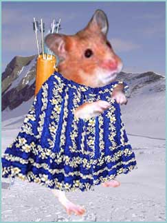 Legolas the hamster in a muumuu